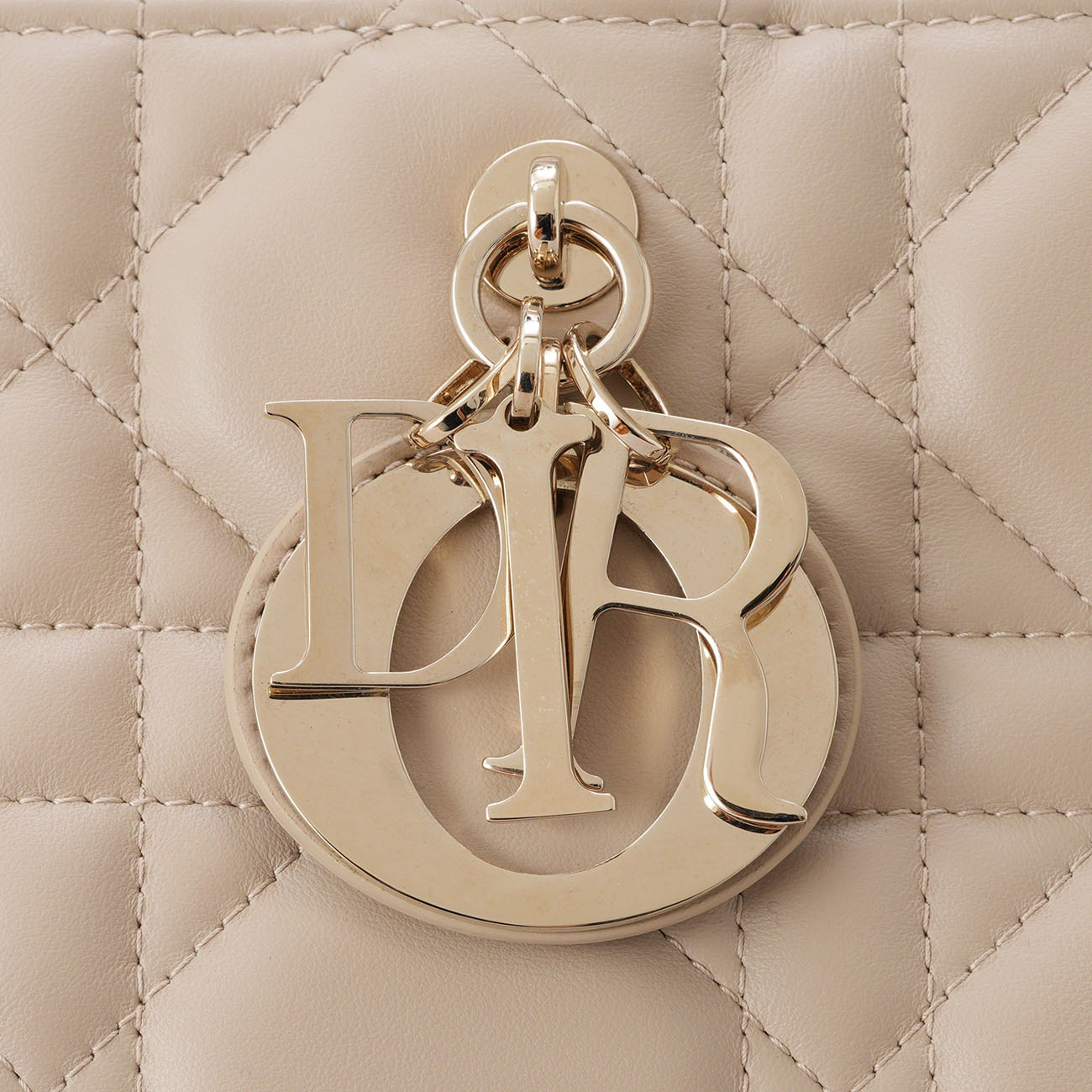 CHRISTIAN DIOR(USED)디올 레더 북토트 미듐